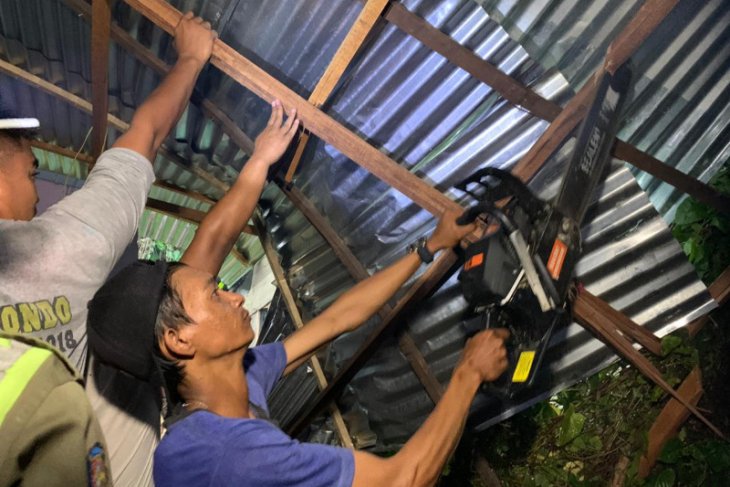 Dua rumah rusak akibat tertimpa pohon di Jalan Johar, Gang Bara