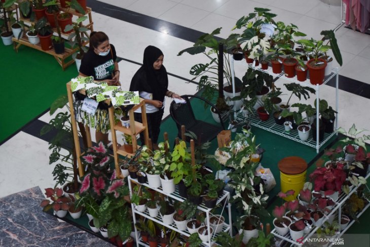 Pameran Tanaman Hias Di Madiun