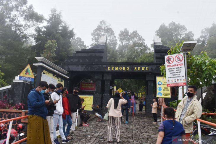 Liburan tahun baru di Cemoro Sewu