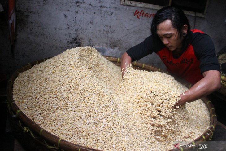 Upaya perajin tempe untuk mengatasi kerugian