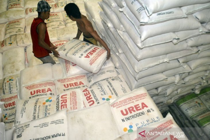 Kadistan Jatim : Alokasi pupuk subsidi capai 2,8 juta ton tahun 2021