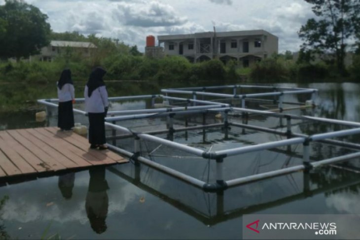 PT Timah gandeng Pesantren Ibnu Sabil Cambai budidayakan ikan di bekas tambang