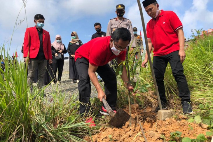 Peringati HUT ke-48 PDIP Balangan targetkan tanam seribu pohon