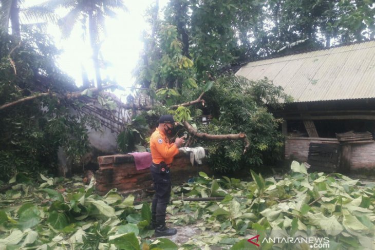 Belasan rumah dan lapak Pasar Ambulu Jember rusak akibat angin puting beliung
