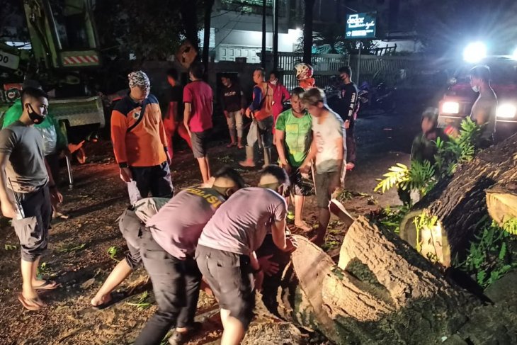 BMKG sebut banjir-longsor Manado dipicu pusat tekanan rendah Australia