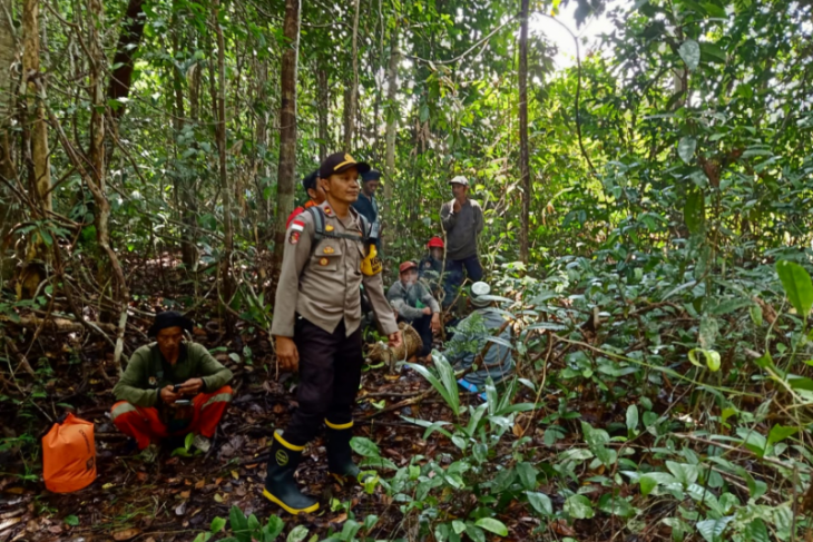 Warga Kapuas Hulu Hilang Di Hutan Perbatasan Ri Malaysia Belum Ditemukan Antara News Kalimantan Barat