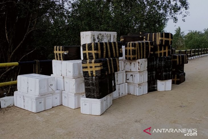 Polisi Tanjabbar sita 401.463 benih lobster yang ditinggal kabur pemiliknya
