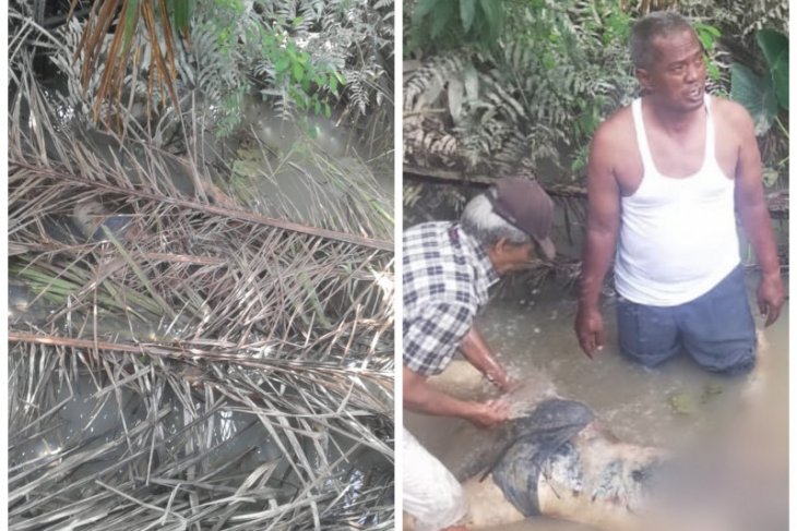 Warga temukan mayat Mr X di Desa Pantai Gemi Stabat, ada luka di leher dan dada
