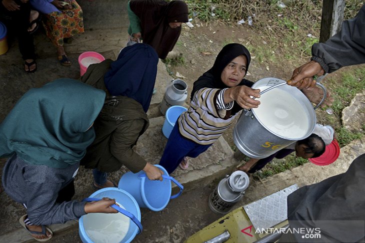 Koperasi susu sapi di Garut 