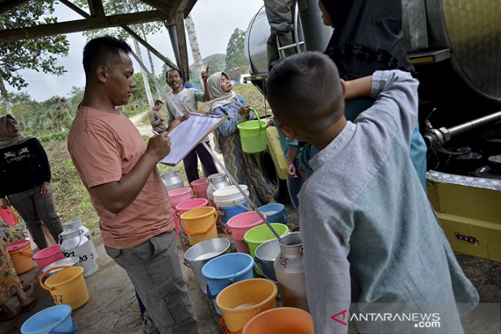 Koperasi susu sapi di Garut 