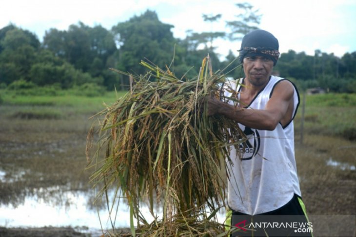 Catatan perjalanan Perduli Banjir Sembakung