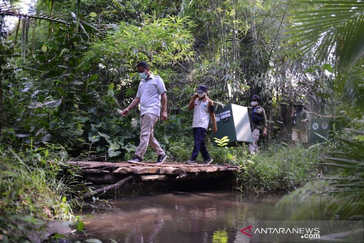 Pelepasan enam satwa liar langka endemik Bangka Belitung