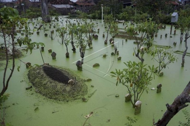 Penurunan tanah Kota Pekalongan