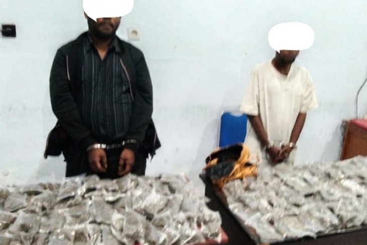 BNN amankan 200 paket ganja siap edar