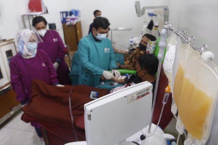 Sudah 250 kantong plasma konvalesen disalurkan PMI Kota Tangerang