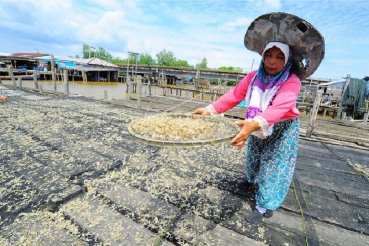 Tangkapan udang rebon anjlok