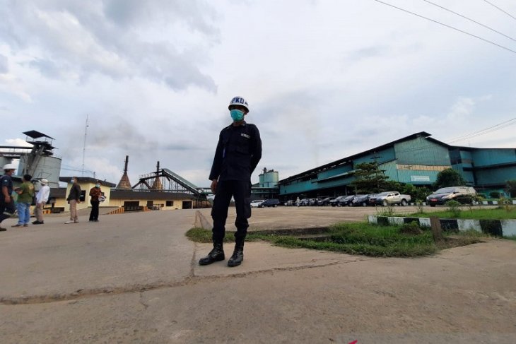 Harga CPO di Jambi naik Rp138 per kilogram menjadi Rp8.761