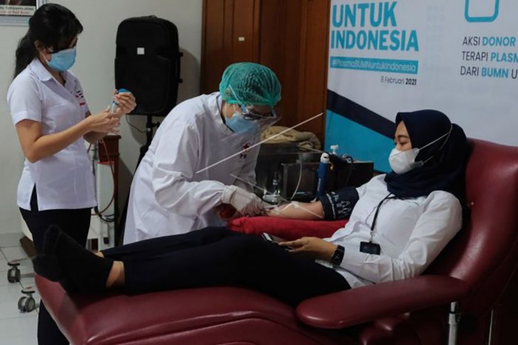 Plasma BUMN untuk Indonesia