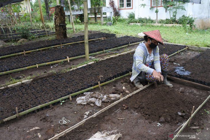 Persemian Bibit Pohon Perhutani