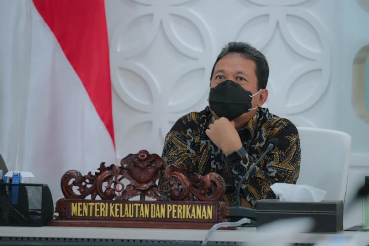 Pemerintah targetkan 55 industri pengolahan ikan di pelabuhan terpadu