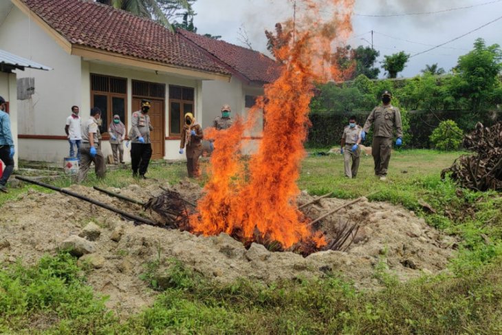 700 kilogram daging celeng ilegal dimusnahkan, disita dari peredaran tanpa standar kesehatan