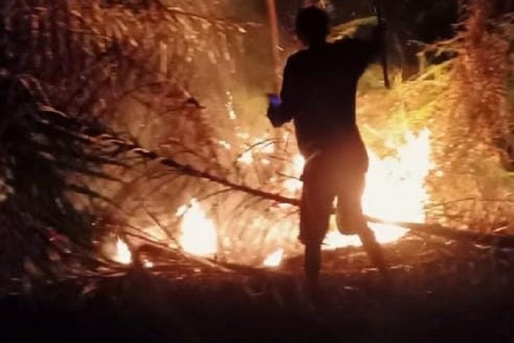 Masyarakat Mukomuko antisipasi kebakaran lahan gambut