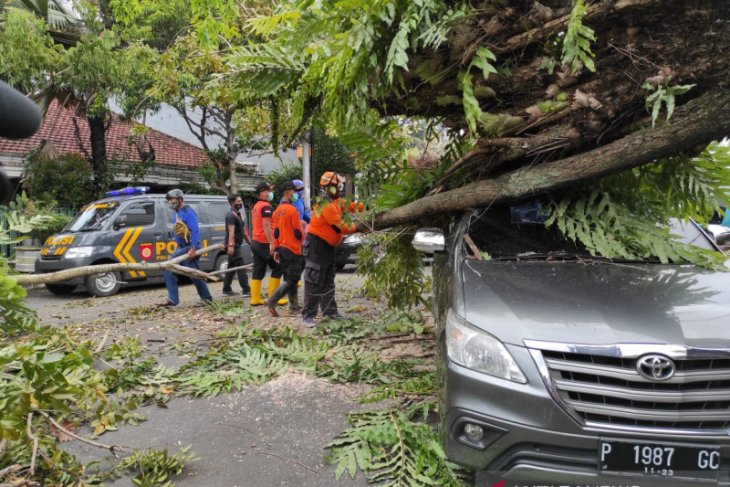 Mobil dan motor tertimpa pohon akibat puting beliung, sejumlah orang terluka