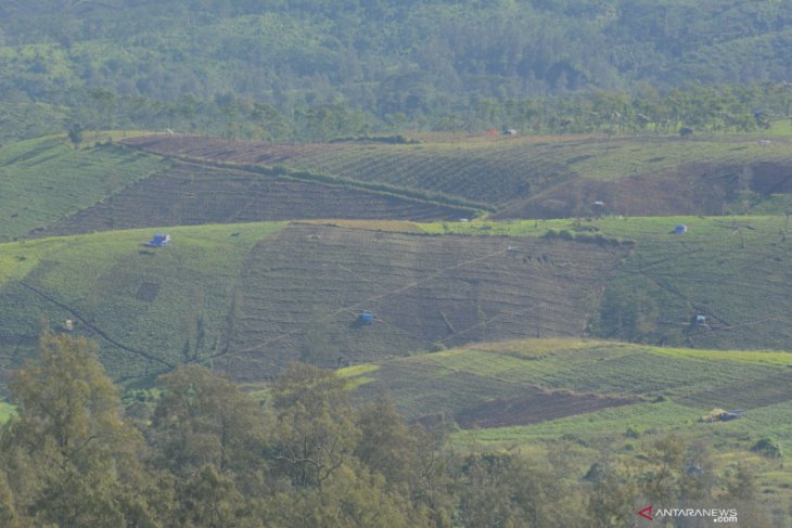 Alih Fungsi Lahan Perbukitan