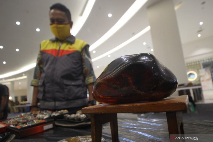 Pameran Batu dan Barang Antik