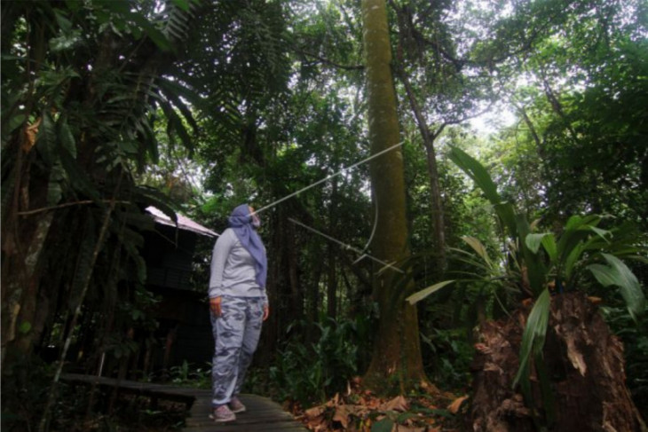 Arboretum Sylva Universitas Tanjungpura