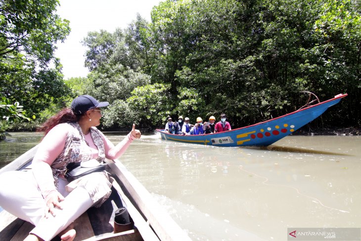 Wisata Jelajah Mangrove