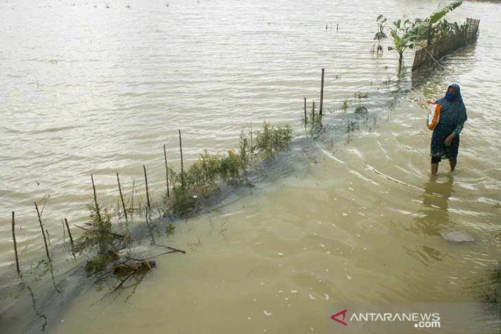 Banjir merendam ribuan rumah di Karawang 