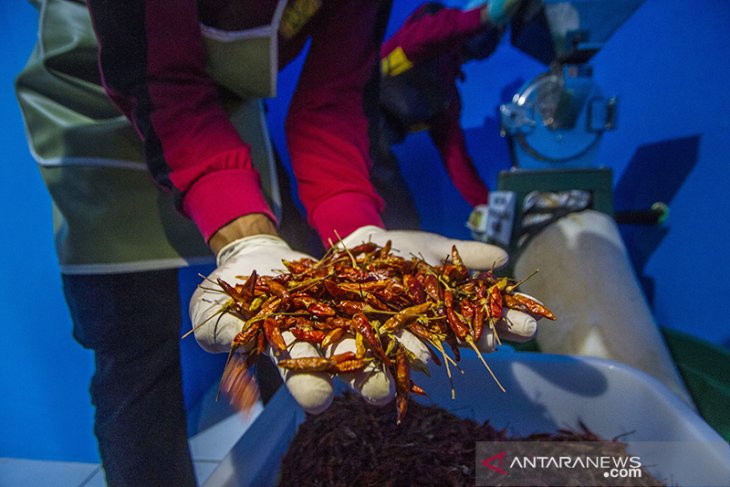 Produk Abon Cabai Hiyung Siap Rambah Pasar Internasional