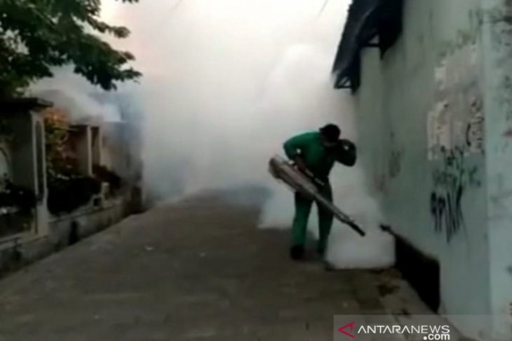 Musim hujan, Diskes Denpasar lakukan penyemprotan serentak antisipasi DBD