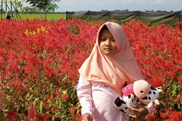 Pemkab Tulungagung izinkan tempat wisata beroperasi dengan prokes
