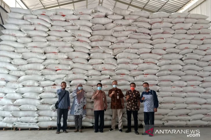 Cadangan pangan Kabupaten Serang di awal 2021 aman