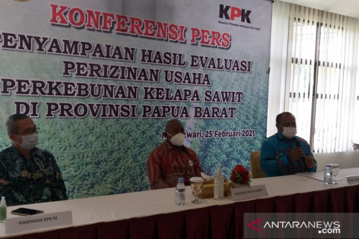 Papua Barat evaluasi izin perkebunan kelapa sawit