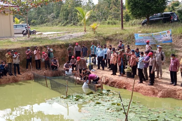 Bupati Bangka tebar 10 ribu benih ikan nila untuk ketahanan pangan