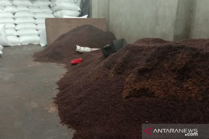 Harga cengkih di Ambon bergerak naik
