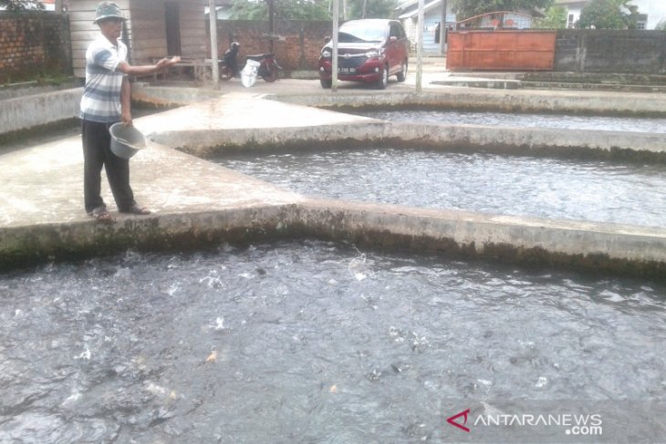 Distanak Rejang Lebong siapkan bantuan perikanan senilai Rp200 juta