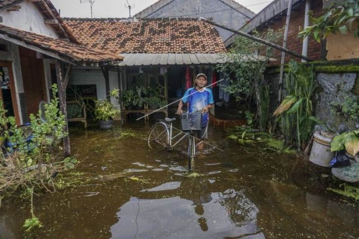 Banjir di Kabupaten Pekalongan