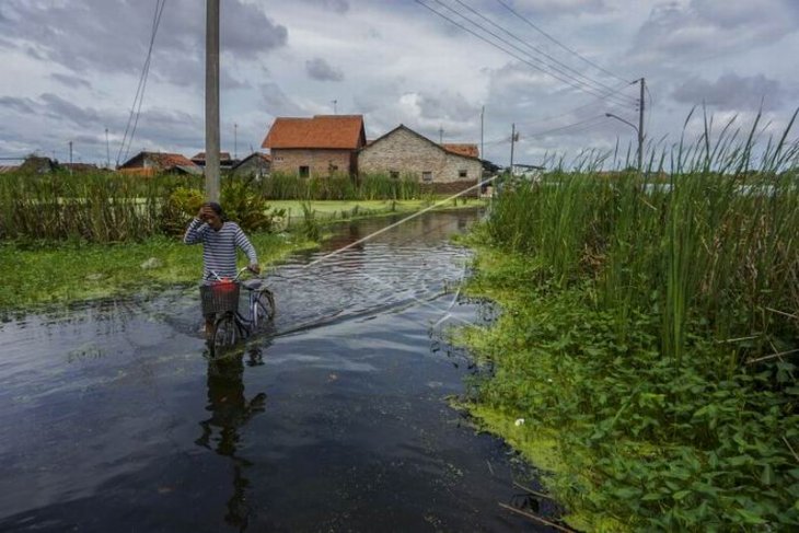 Banjir di Kabupaten Pekalongan