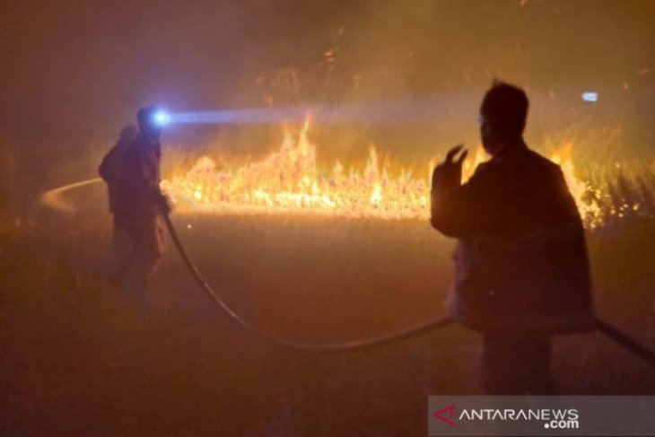 Dua hektare lahan kering di Sijuk terbakar