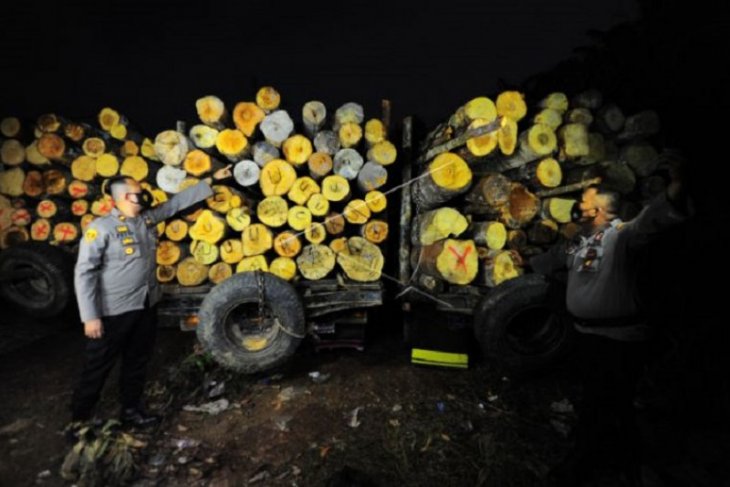 Tangkapan kayu ilegal di Jambi