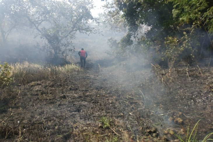 1,5 hektare lahan ilalang terbakar di Lhokseumawe