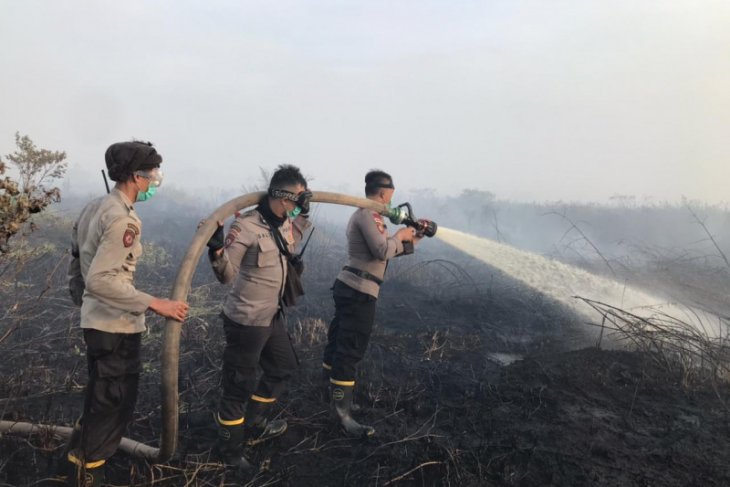 Polisi tetapkan delapan tersangka perorangan kasus Karhutla
