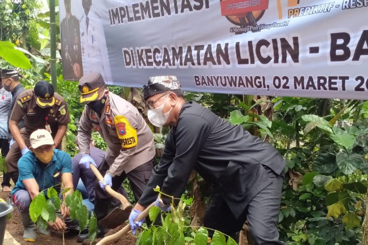 Forkopimda Banyuwangi canangkan penanaman seribu pohon