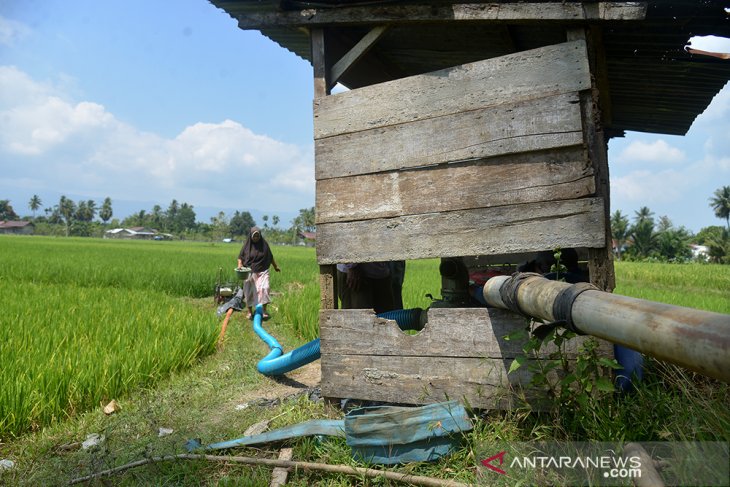 Petani Distribusikan Air Sungai ke Sawah