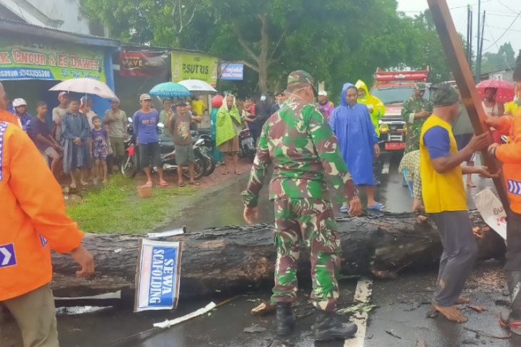 Angin kencang di Tulungagung robohkan papan reklame dan belasan pohon