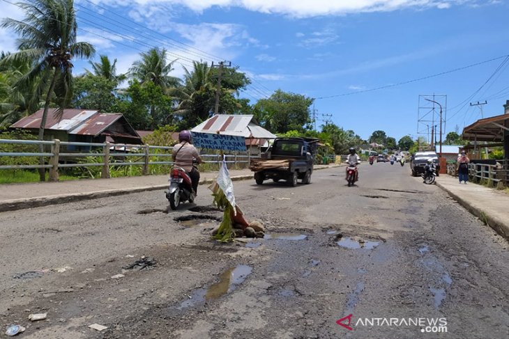 Warga Bengkulu tanam pohon di jalan rusak
